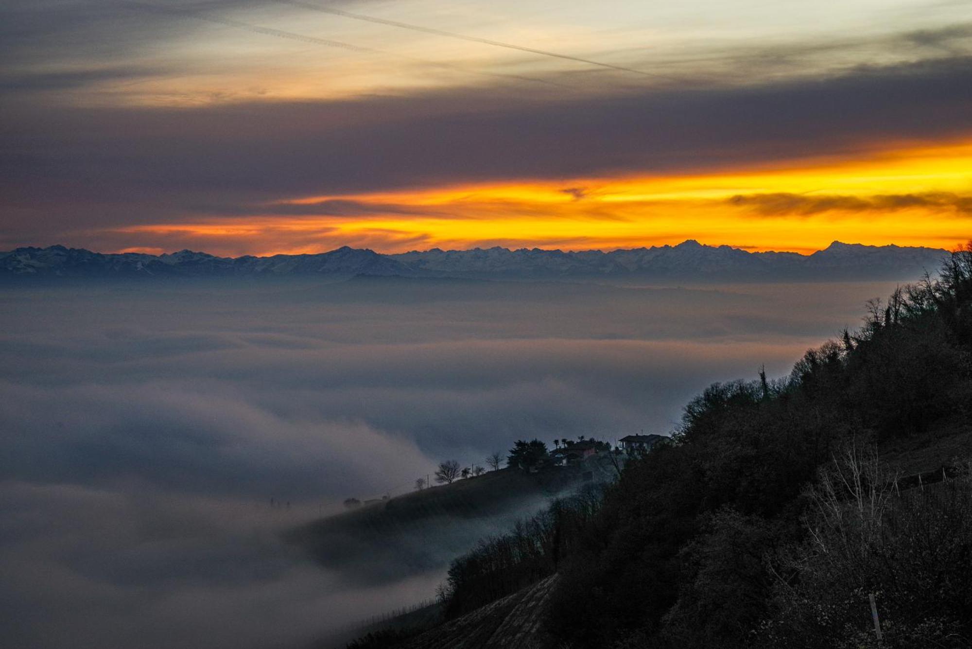 Vista Langhe - Cerratohouses Guarene المظهر الخارجي الصورة